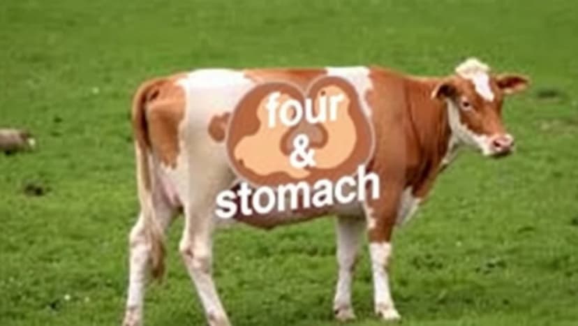 Hur många magar har en ko egentligen